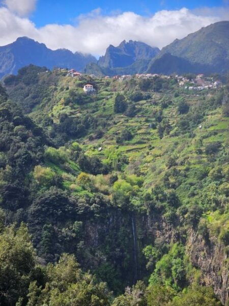 Levada Do Castelejo- Guided Tour by Overland Madeira - Inclusions and Departure