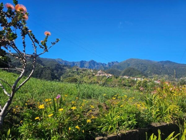 Levada Do Castelejo- Guided Tour by Overland Madeira - Frequently Asked Questions
