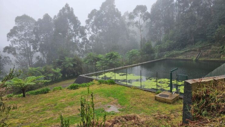 Levada Do Rei by Overland Madeira - Activity Details
