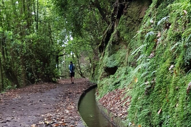 Levada Do Rei - Ribeiro Bonito (Full Day Walk) - Group Size and Personalized Experience