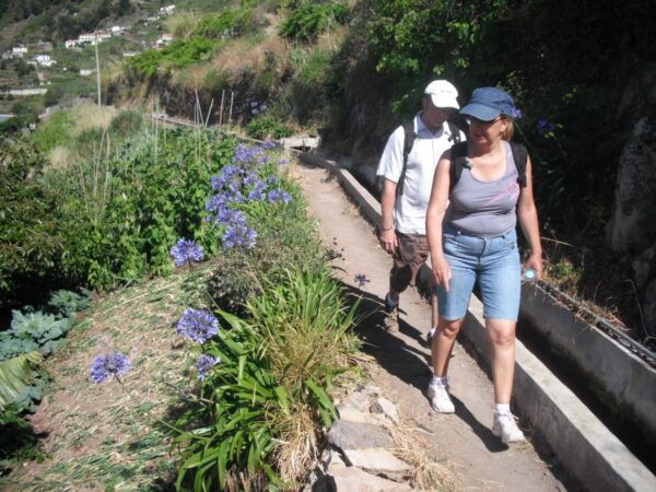 Levada Dos Maroços - Half Day - Easy Walk - Frequently Asked Questions