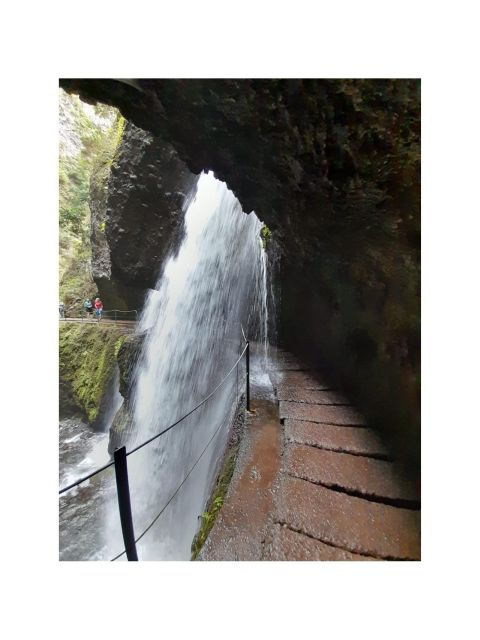Levada Nova- Levado Do Moinho by Overland Madeira - Description