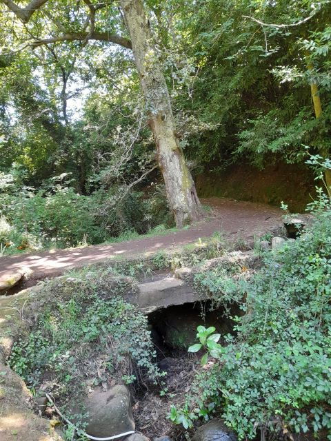 Levada Serra Do Faial, Camacha - Booking Details