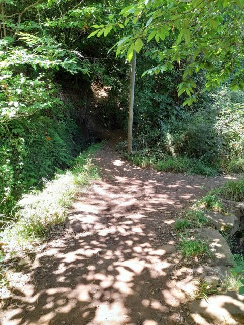 Levada Serra Do Faial, Camacha - Experience Highlights