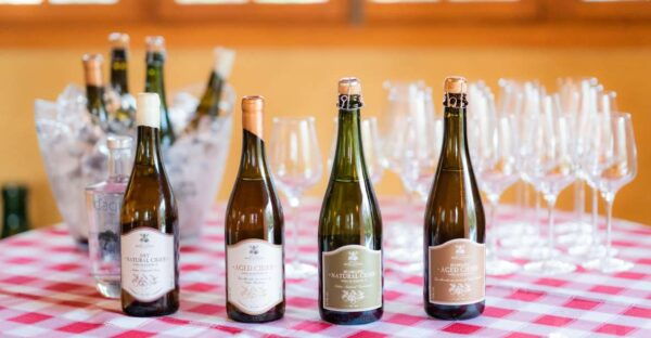 Levada Walk, Cider Tasting & Lunch - Cancellation Policy
