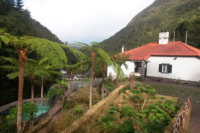 Levada Walk From Ribeiro Frio to Portela - Reviews