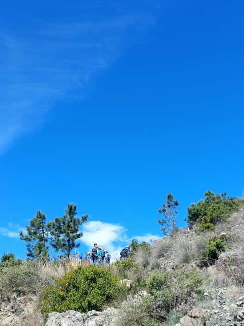 Levanto: Hiking Tour with Creative Workshop! - An Authentic Ligurian Day: What to Expect