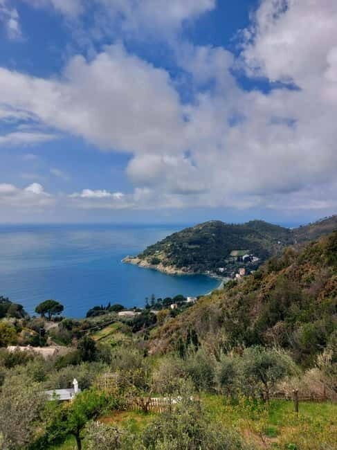 Levanto: Hiking Tour with Creative Workshop! - What’s Included & What to Bring