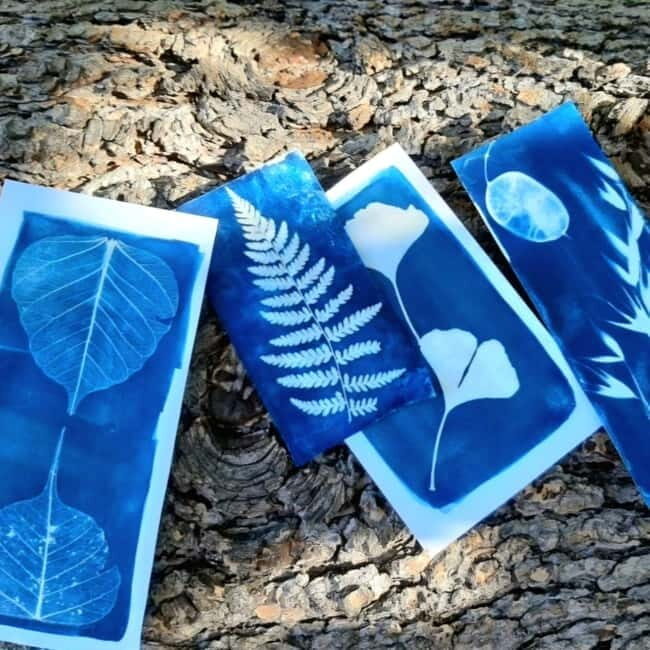 Levanto: Hiking Tour with Creative Workshop! - The Experience in Context: Why It Works