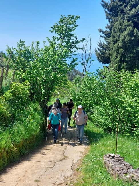 Levanto: Hiking Tour with Creative Workshop! - The Sum Up: Is It Worth It?