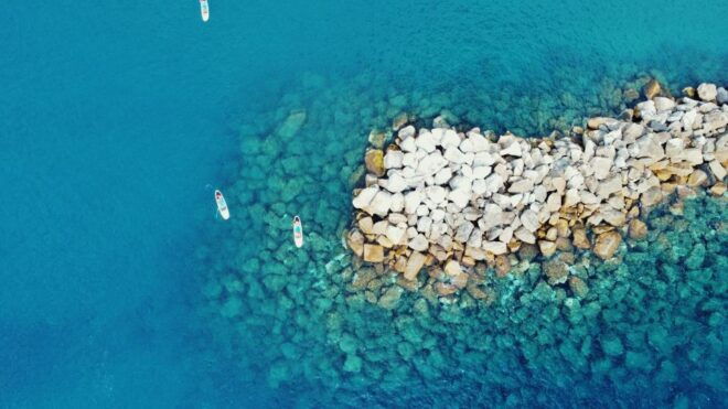 Levanto: Paddleboard Tours and Snorkeling Along the Coast - Inclusions and Participant Requirements