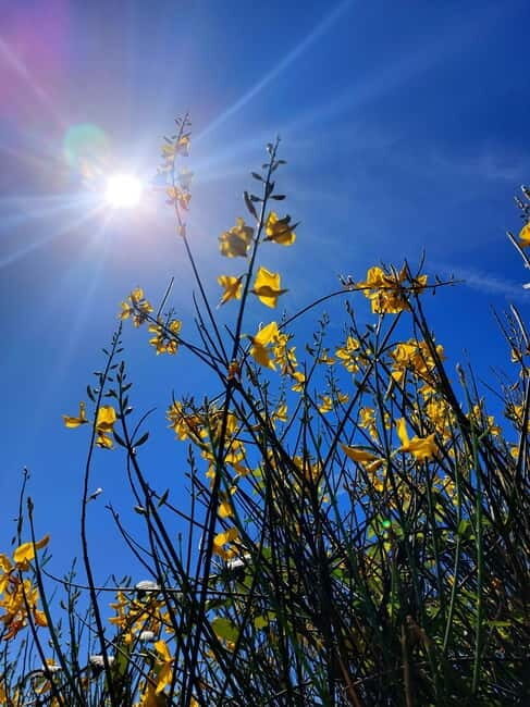 Levanto to Bonassola Hiking Tour: Nature & Wonderful Views - The Sum Up