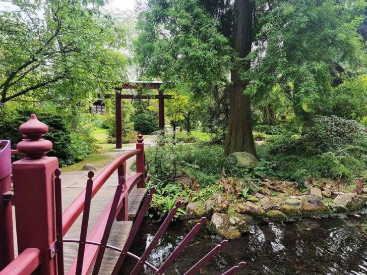 Leverkusen: Japanese Garden Smartphone Puzzle Game - Experience Highlights