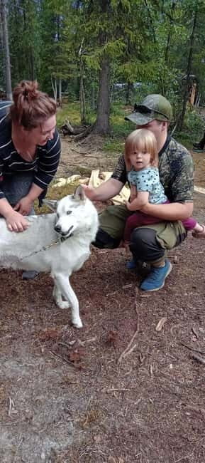 Levi: 2 KM Husky Summer Sledding with wheels - A Hands-On Summer Husky Sledding Adventure in Lapland