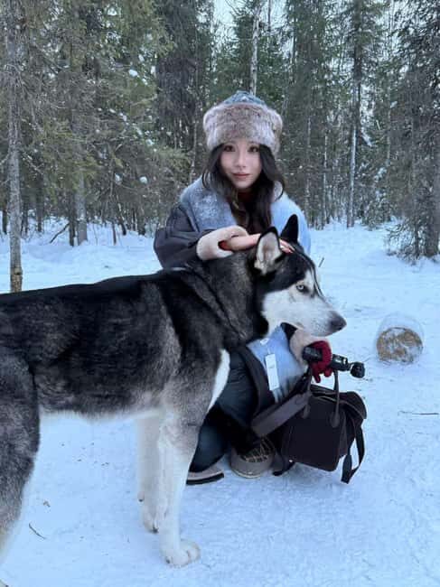 Levi: 2 km Thrilling Husky Sled Ride - The Experience in Detail
