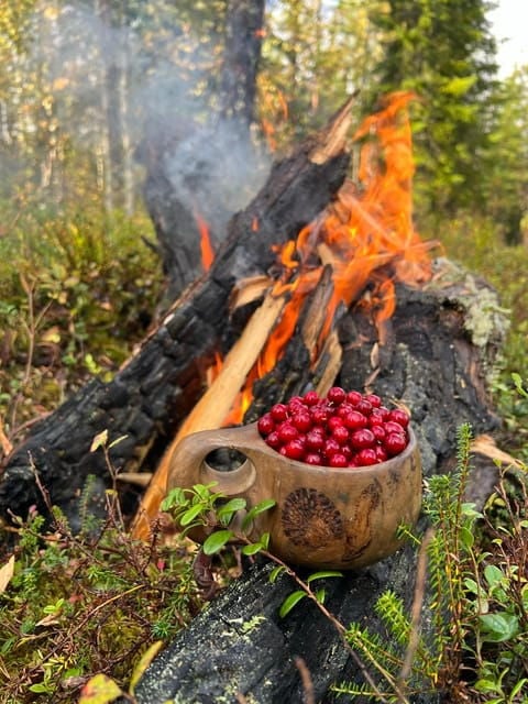 Levi: Autumn Hike and Reindeer Farm Visit - Practical Details and What to Expect