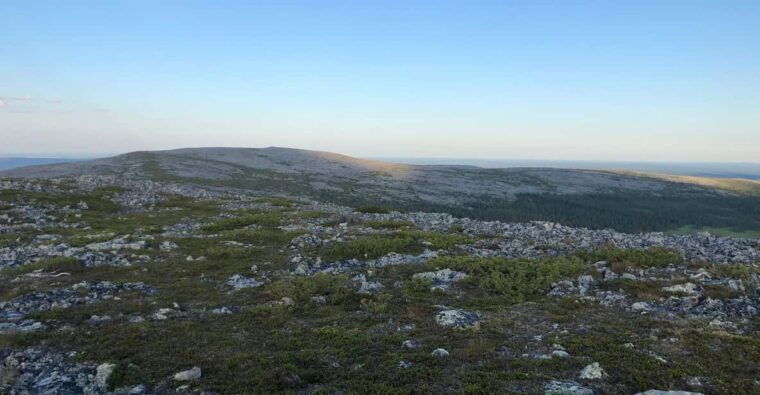 Levi: Autumn Hike and Reindeer Farm Visit - Why This Tour Works Well