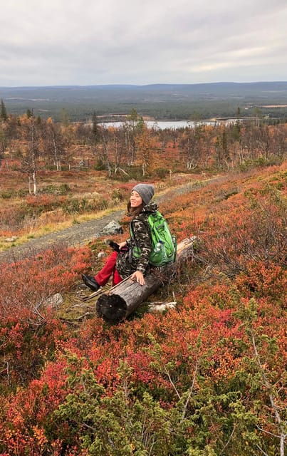 Levi: Autumn Hike and Reindeer Farm Visit - Pricing and Booking Details