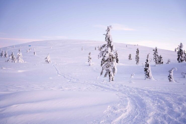 Levi: Backcountry Skiing Adventure - Activity Details