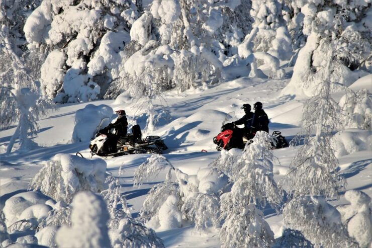 Levi: Easy Snowmobile Safari Into the Nature - Pricing and Duration