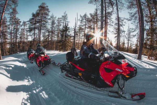 Levi: Easy Snowmobile Safari Into the Nature - Scenic Highlights
