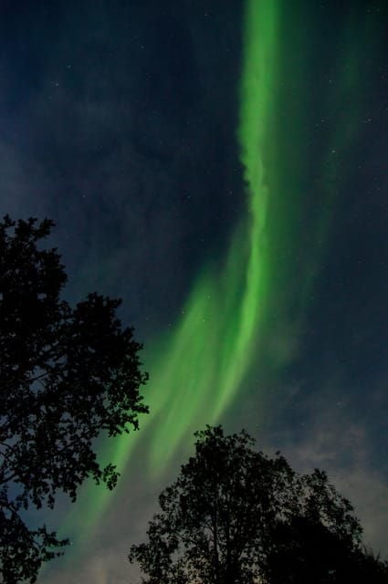 Levi: Evening Horseback Ride with Northern Lights - Levi: Evening Horseback Ride with Northern Lights – A Genuine Adventure in Lapland