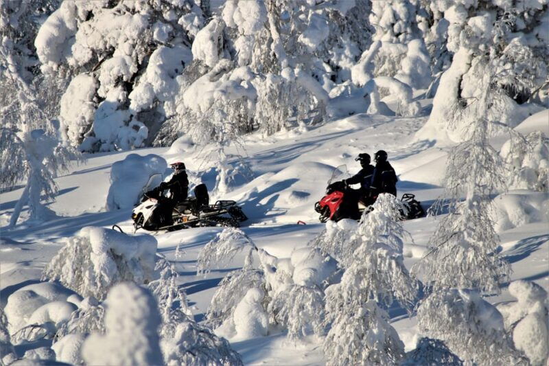 Levi: Forest Snowmobile Safari - Why It’s a Great Choice in Levi