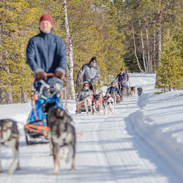 Levi: Forest Troll – Two-Day Husky Safari - Detailed Itinerary