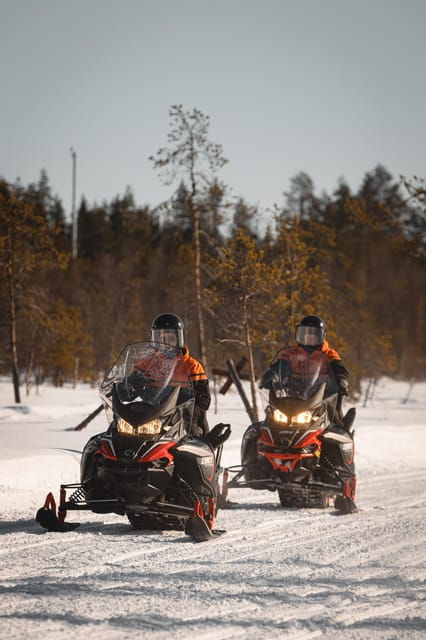 Levi: Full Day Snowmobile Safari to Wilderness - Highlights of the Experience
