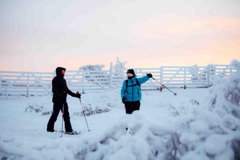 Levi: Guided Snowshoeing Adventure - Good To Know