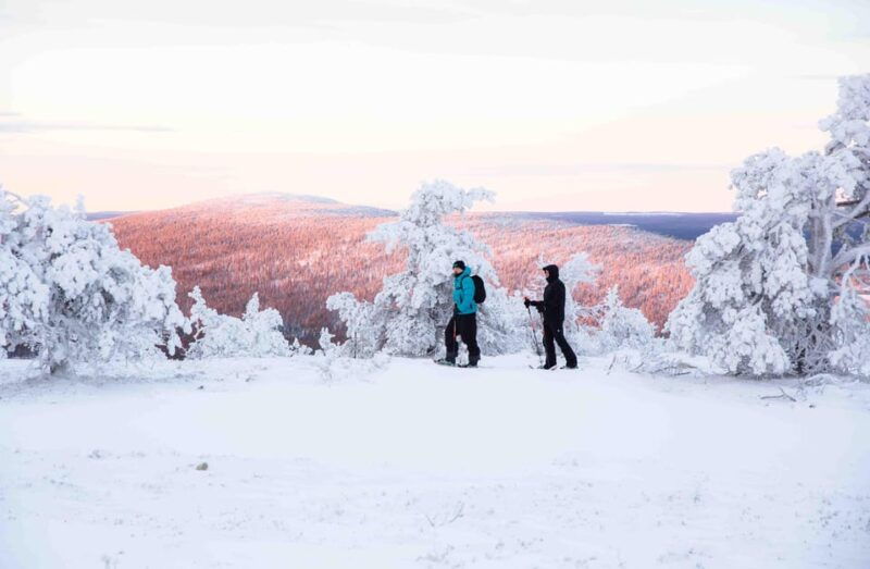 Levi: Guided Snowshoeing Adventure - What the Tour Entails: A Step-by-Step Breakdown