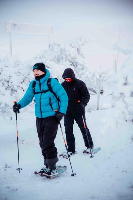 Levi: Guided Snowshoeing Adventure - The Experience Quality: Guides, Scenery, and Personal Touches