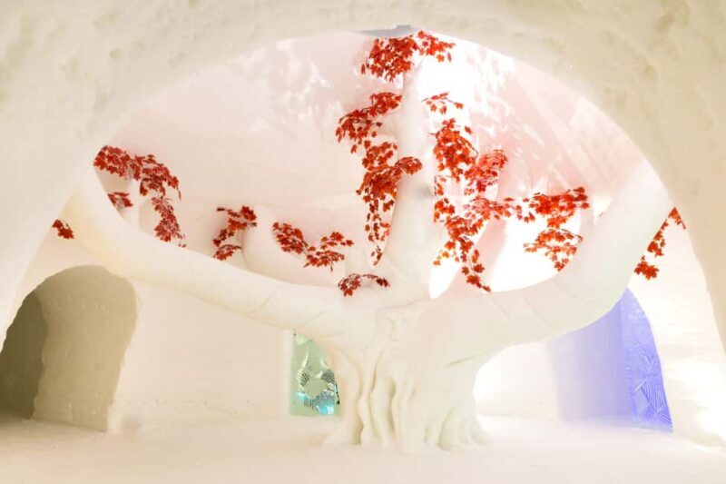 Levi: Guided Trip to Lainio SnowVillage - Good To Know