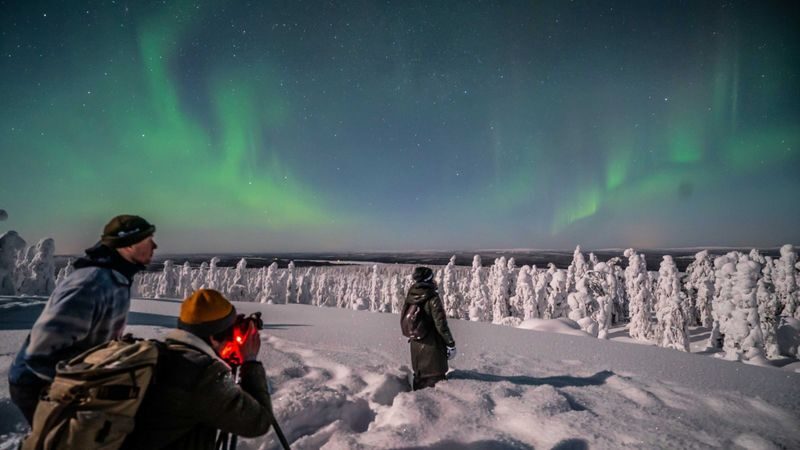 Levi half-day northern lights and photography tour - The guide’s role when the sky will not cooperate