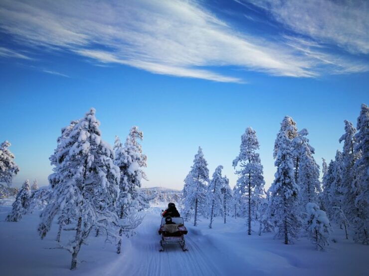 Levi: Half-day Snowmobiling Adventure - Booking Details for Snowmobiling Adventure