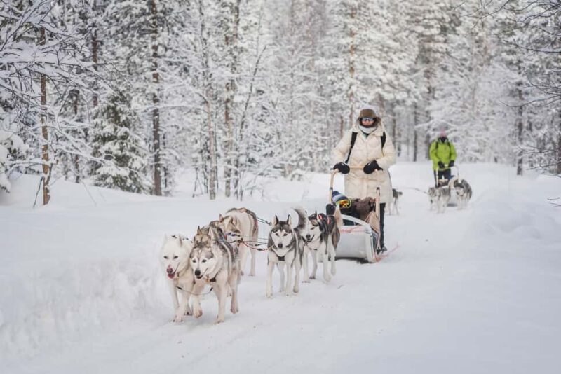 Levi: Husky Adventure Self-Drive Safari 15km - Introduction