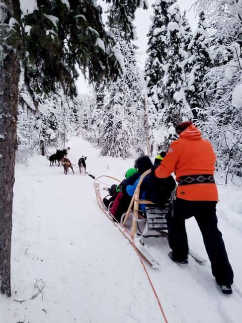 Levi: Husky and Reindeer Arctic Duo Safari - Practical Details & What to Expect