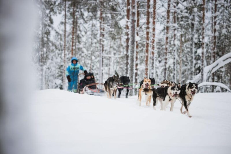 Levi: Husky and Reindeer Farm Visit with Snowmobiling - Good To Know