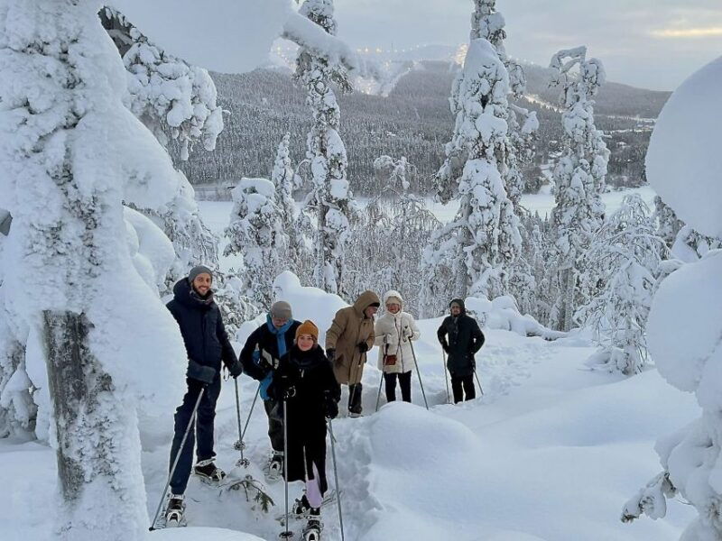 Levi: Lakeside forest snowshoeing - Good To Know