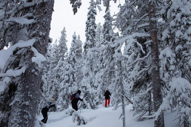 Levi: Lakeside forest snowshoeing - Practical Details & Value