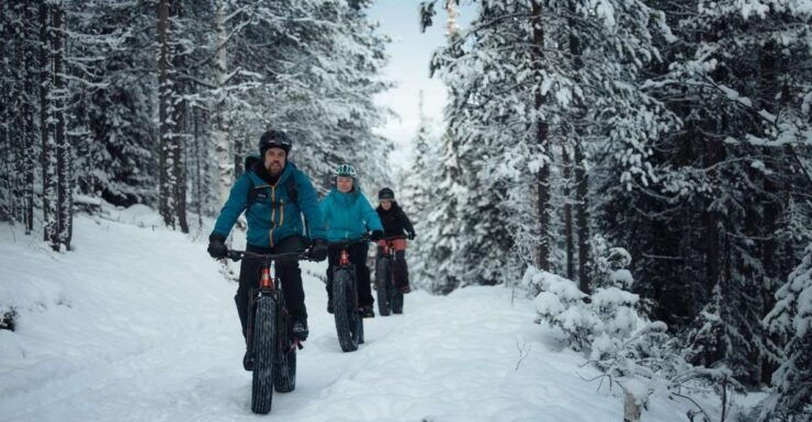 Levi, Lapland: Easy E-Fatbike Trip to White Nature - Activity Details