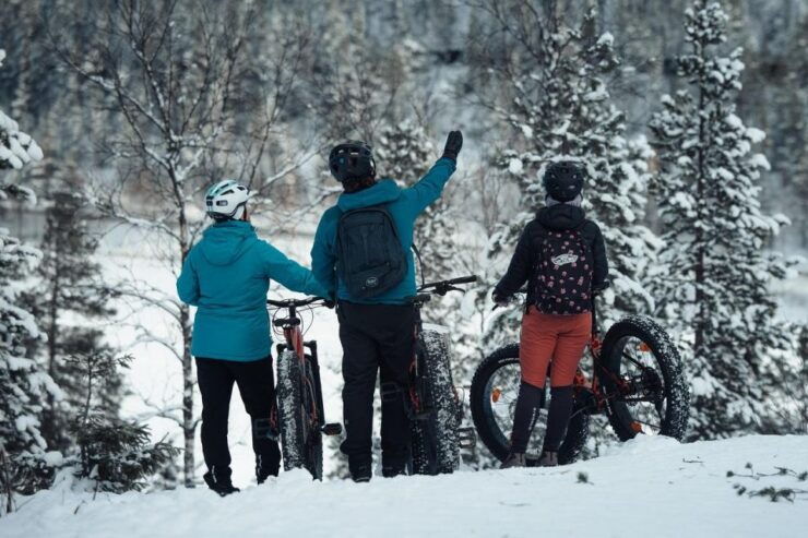 Levi, Lapland: Easy E-Fatbike Trip to White Nature - Experience Highlights