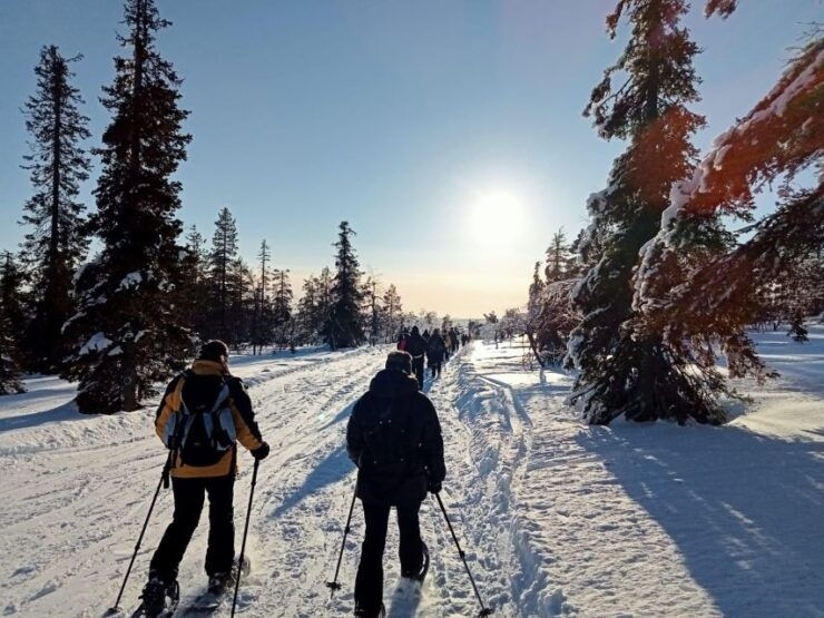 Levi Lapland: Northern Lights Snowshoeing - Good To Know