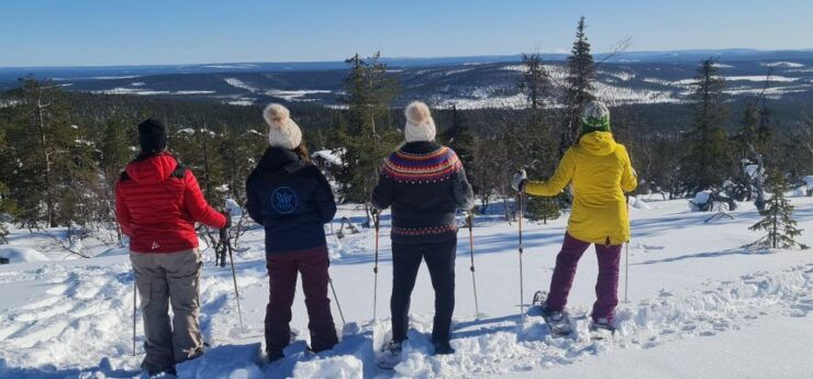 Levi Lapland: Northern Lights Snowshoeing - Languages and Guided Experience