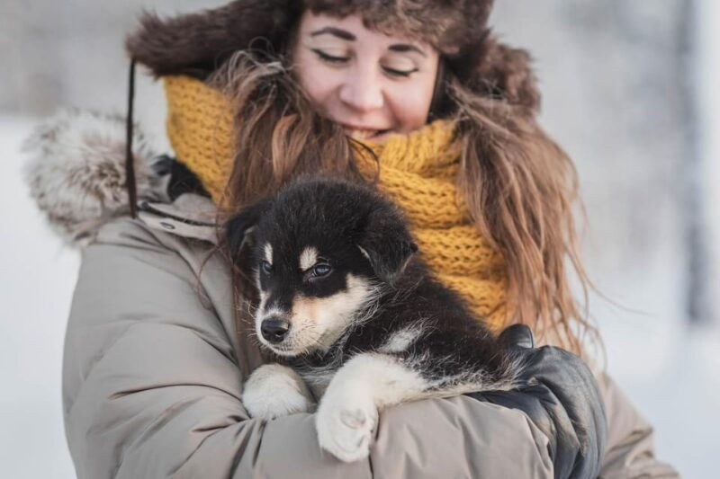 Levi: Nature Walk with Huskies - Why This Tour Offers Real Value