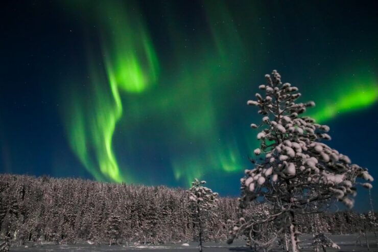 Levi: Northern Lights Campfire - Activity Details