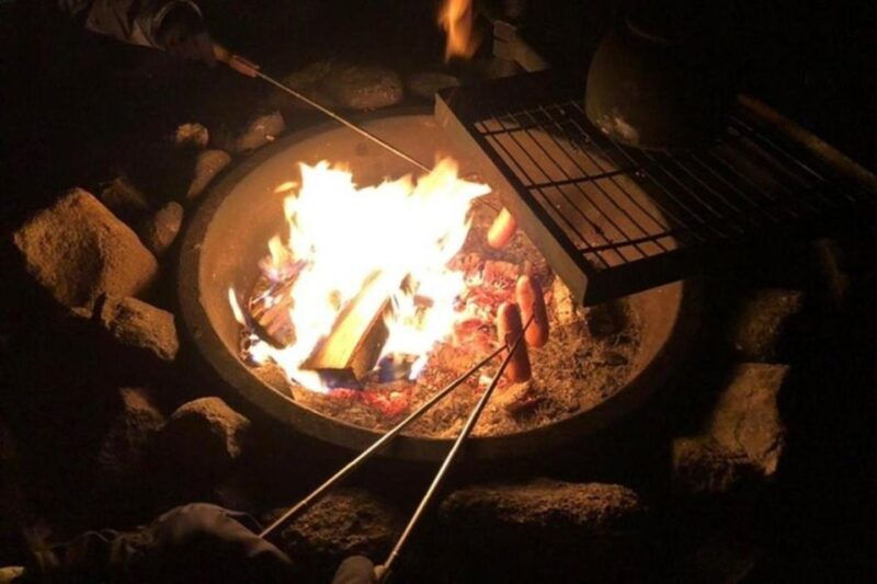 Levi: Northern Lights Hunt Including Campfire Snacks - What’s Included and What to Consider