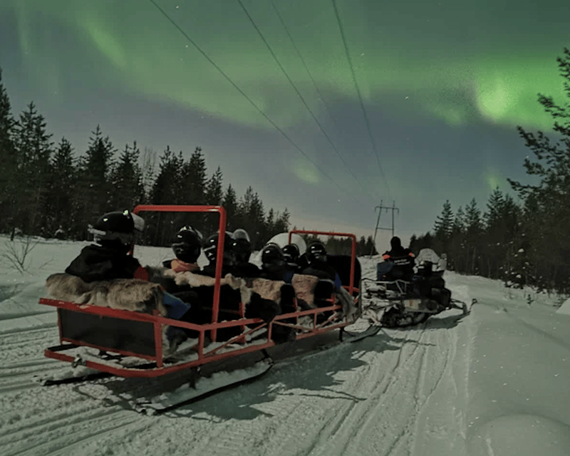 Levi: Northern Lights Sledge Ride - Who Should Consider This Experience?