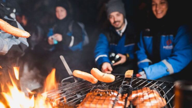 Levi: Northern Lights Snowmobile Tour With Snacks and Drinks - Booking Details