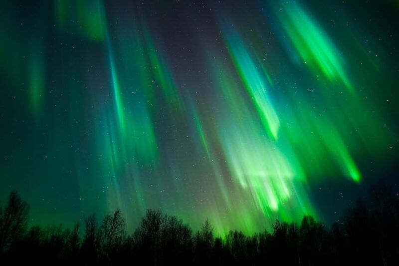 Levi: Northern Lights Tour with Guaranteed Sightings - Good To Know